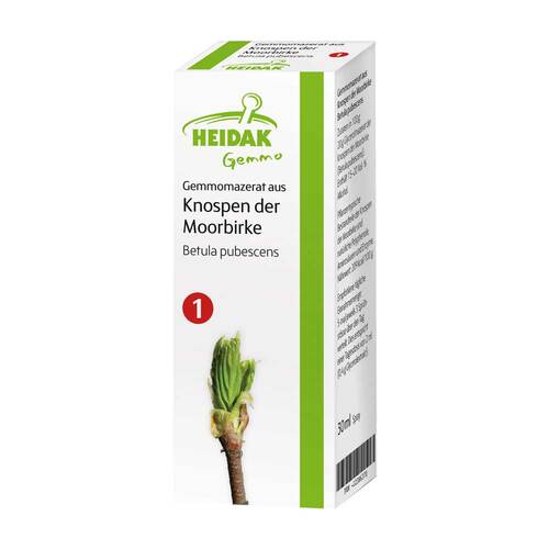 Gemmomazerat Betula pubescens Spray - 1