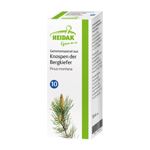 Gemmo Pinus montana Gemmomazerat Spray - 1