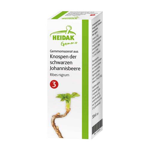 Gemmo Ribes nigrum Gemmomazerat Spray - 1