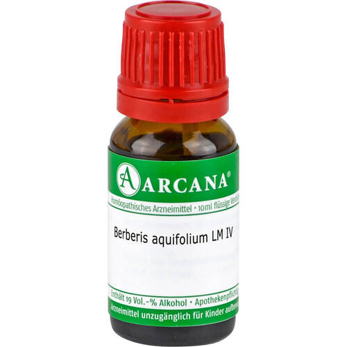 Berberis aquifolium LM 04 Dilution - 1