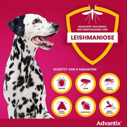 Advantix Spot-on L&ouml;sung Hund 25 - 40 kg - 5