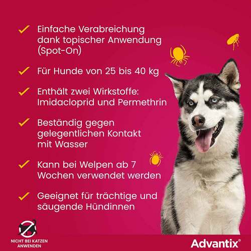 Advantix Spot-on L&ouml;sung Hund 25 - 40 kg - 6