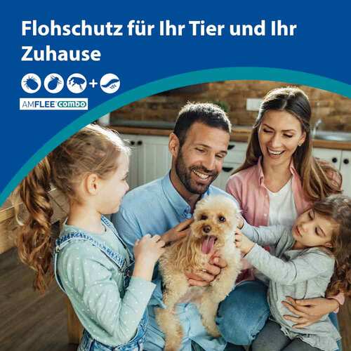 Amflee combo 268/241,2 mg L&ouml;sung zum Auftropfen f&uuml;r Hunde 20-40 kg - 2