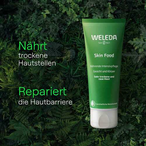 Weleda Skin Food - 4