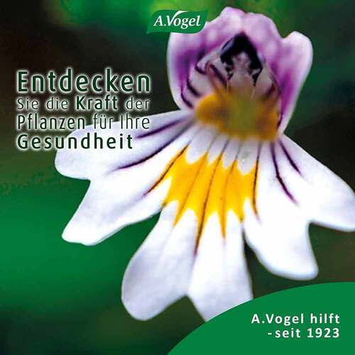 A.VOGEL Augen-Tropfen 6 Mon.n.&Ouml;ffnen haltbar - 4