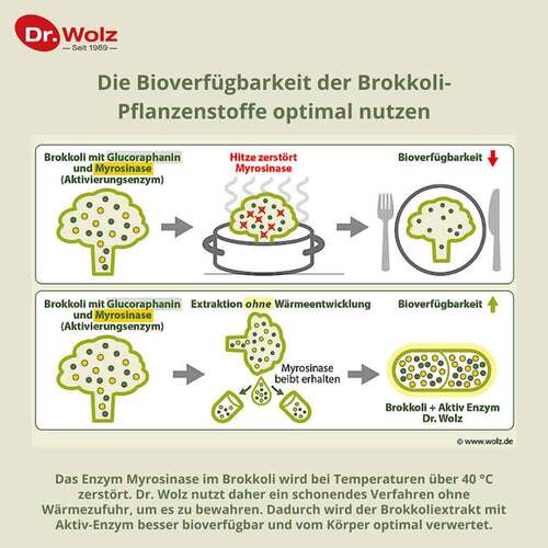 Brokkoliextrakt + Aktiv-Enzym Dr. Wolz magensaftresistent Kapseln  - 4