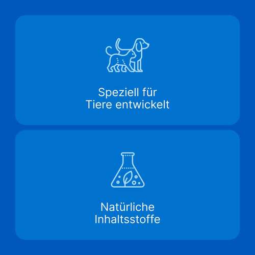 Traumeel LT ad us.vet.Tabletten - 5
