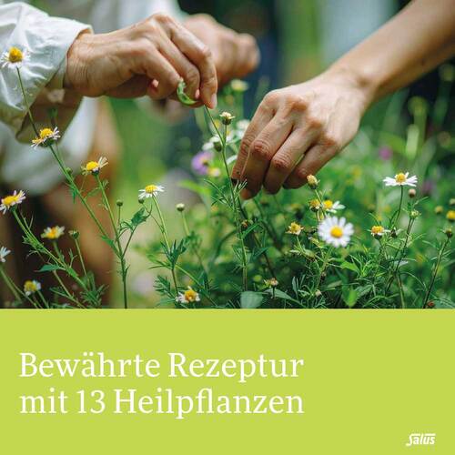 Gallexier Kr&auml;uterbitter Elixier Salus Fl&uuml;ss.z.E. - 2