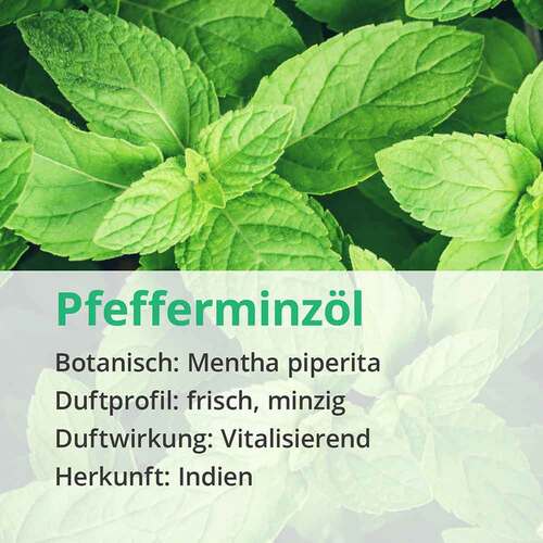 Pfefferminz &Ouml;l naturrein &auml;therisch - 4