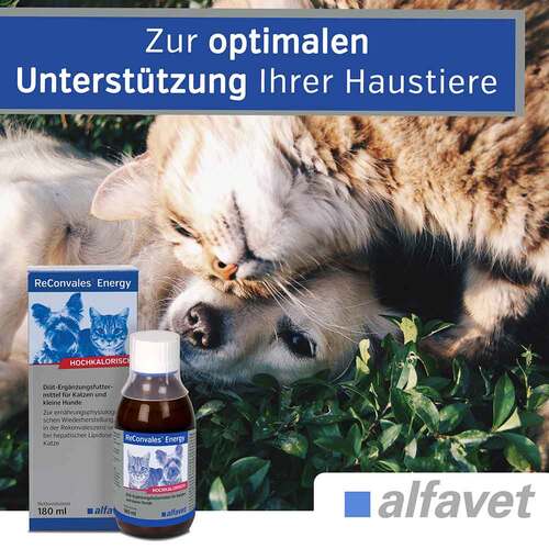Reconvales Energy Di&auml;t-Erg.Futterm.f&uuml;r kl.Hund / Katze - 4