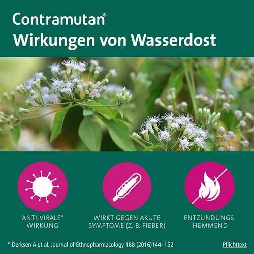 Contramutan® Sirup - 4