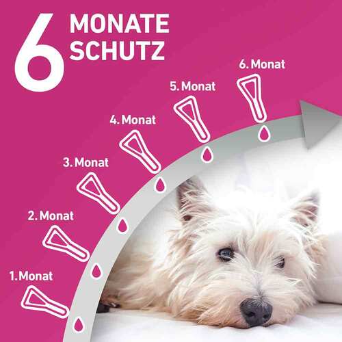 FRONTLINE TRI-ACT® gegen Zecke, Floh und fliegende Insekten bei Hunden (2-5kg) - 4