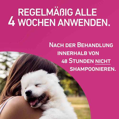 FRONTLINE TRI-ACT® gegen Zecke, Floh und fliegende Insekten bei Hunden (5-10kg) - 5