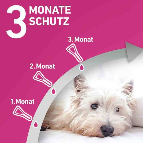 FRONTLINE TRI-ACT® gegen Zecke, Floh und fliegende Insekten bei Hunden (20-40kg) - 4