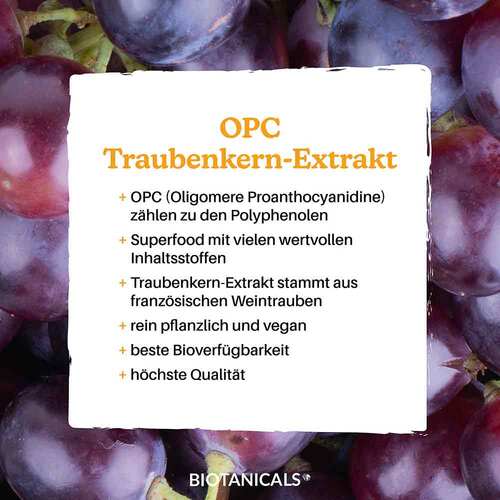 Biotanicals OPC Traubenkernextrakt Kapseln - 4