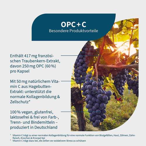 OPC + C Kapseln - 2