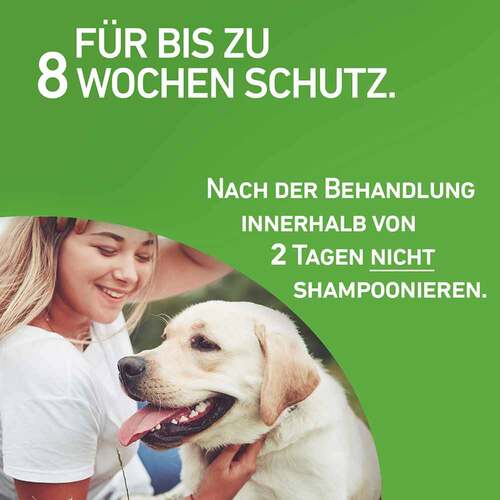 FRONTLINE COMBO® gegen Zecken, Fl&ouml;he bei Hunden M (10-20 kg) - 5