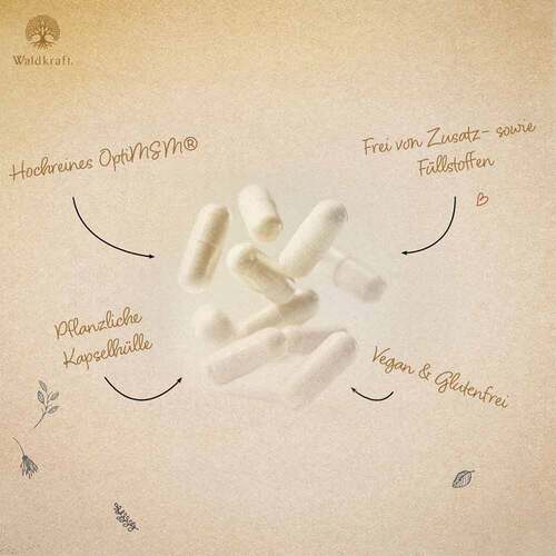 MSM Premium Optimsm organisch.Schwefel Kapseln Erdling - 3