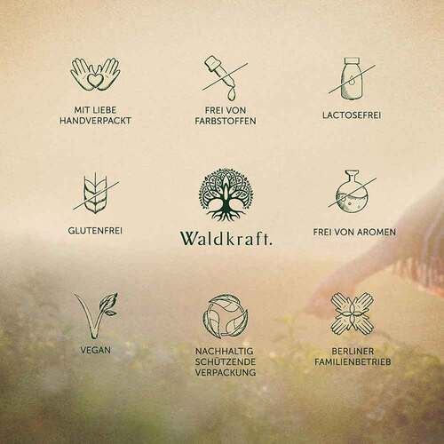 Borax Pulver Natriumtetraborat rein vegan Erdling - 3