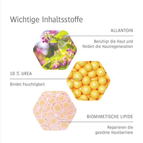 Allpresan Fuß spezial Nr.3 sehr trockene Haut Creme  - 5