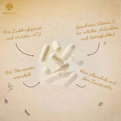 Vitamin C-Komplex Zink Histidin vegan Kapseln Erdling - 3