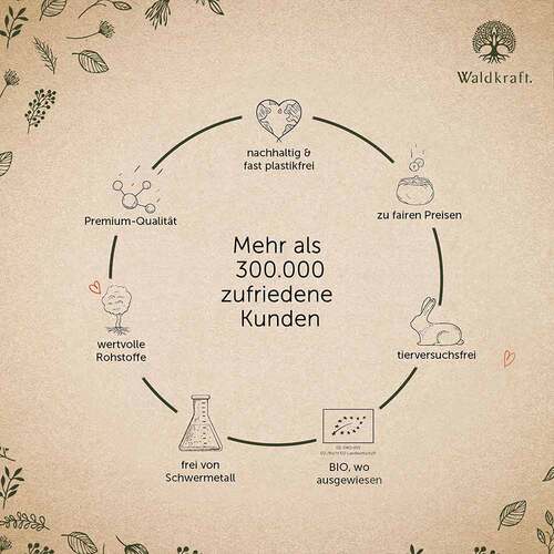 Vitamin C-Komplex Zink Histidin vegan Kapseln Erdling - 6