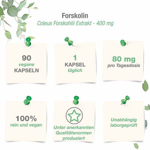 Forskolin 400 mg Coleus Forskohlii Extrakt vegan Kps - 3