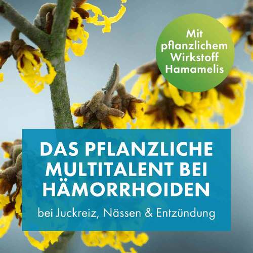 FAKTU lind H&auml;morrhoidenz&auml;pfchen mit Hamamelis - 3