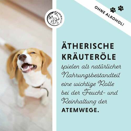 Bronchial Plus Atemwegsmischung Saft f&uuml;r Hunde - 5