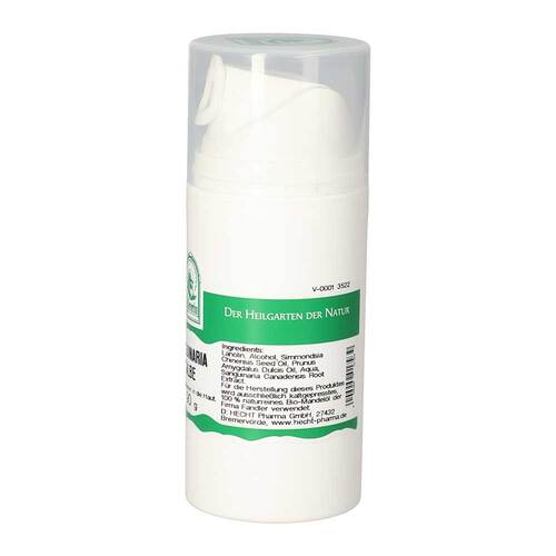 Schachtelhalm Salbe - 2