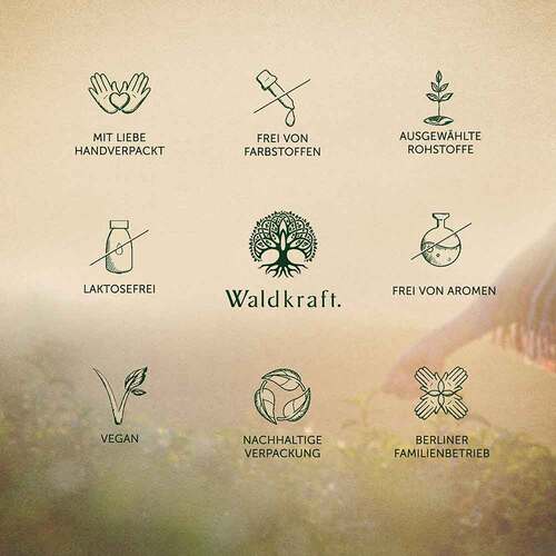 Lungenkraut Komplex MSM NAC vegan Kapseln Erdling - 5