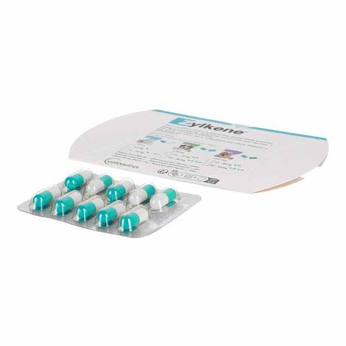 Zylkene Kapseln f&uuml;r Katzen / kleine Hunde - 3