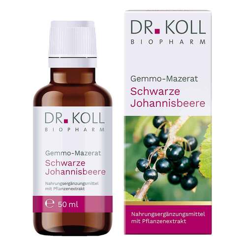 Gemmo Mazerat schwarze Johannisbeere Dr. Koll Ribes - 1