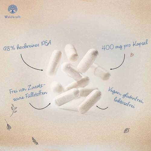 Pea Palmitoylethanolamid 99,23% vegan Kapseln Erdling - 3