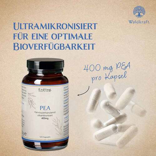 Pea Palmitoylethanolamid 99,23% vegan Kapseln Erdling - 4