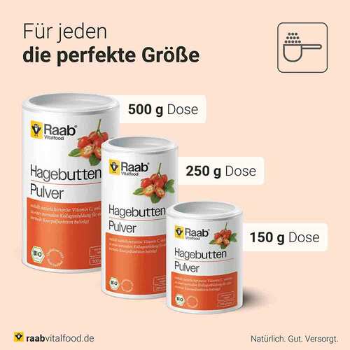 Raab Vitalfood Hagebutte Bio Pulver - 4