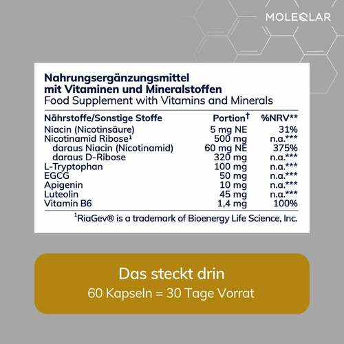 Moleqlar Longevity Regenad Kapseln - 4