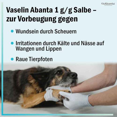 Vaselin Abanta 1 g / g Salbe - 5
