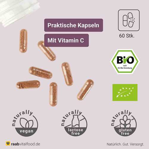 Raab Vitalfood OPC Extrakt Kapseln Bio - 2