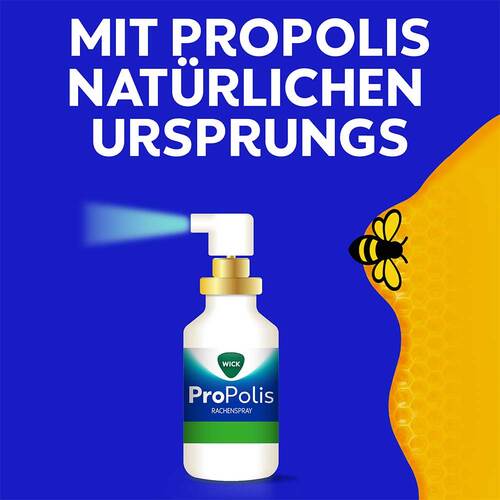 WICK Propolis-Spray - 2