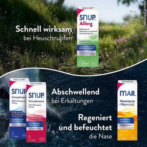 Snup Allerg 137 µg / 50 µg pro Spr&uuml;hsto&szlig; Nasenspray - 5