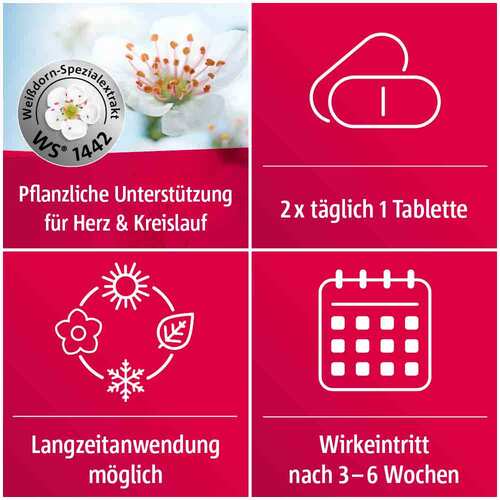 Crataegutt 450 mg Herz-Kreislauf-Tabletten - 2