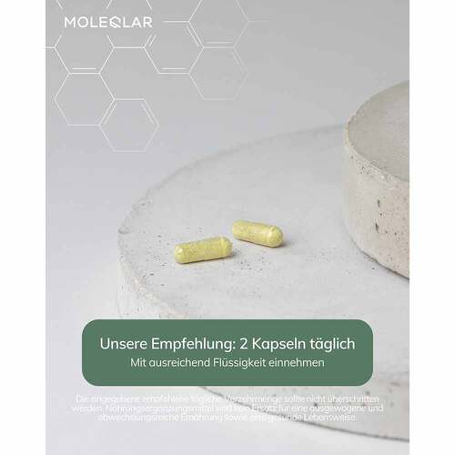 Moleqlar Quercesome Quercetin-C-Complex Kapseln - 3