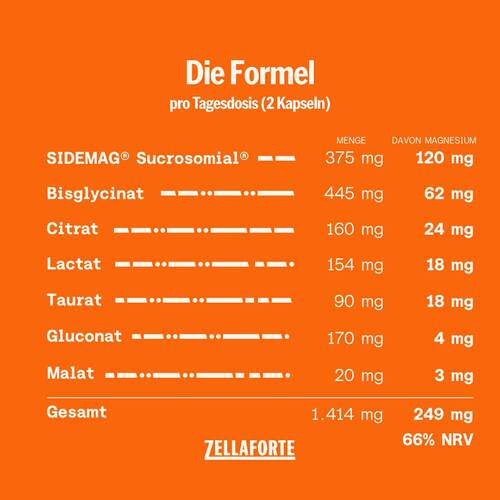 Zellaforte Magnesium Kapseln - 3