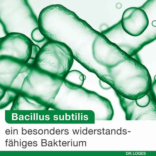 Bioticloges subtilis Kapseln - 4