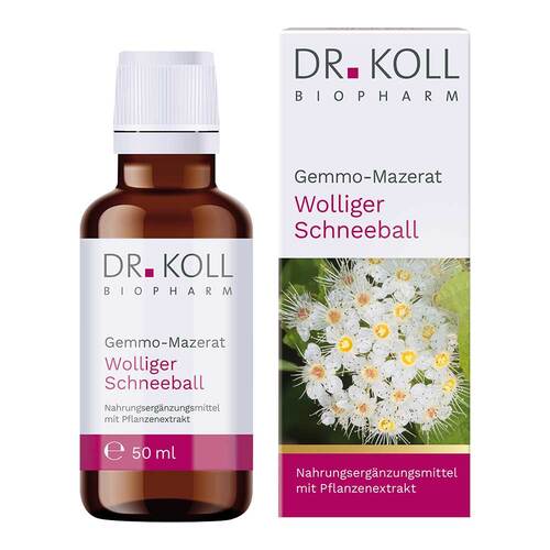 Gemmo-Mazerat wolliger Schneeball Dr. Koll Viburnum lantana Tropfen - 1