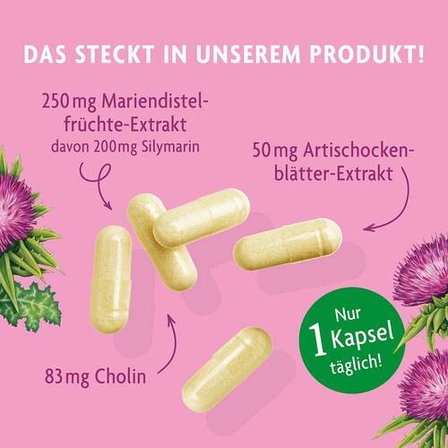 Salus Alepa Mariendistel Kapseln - 2