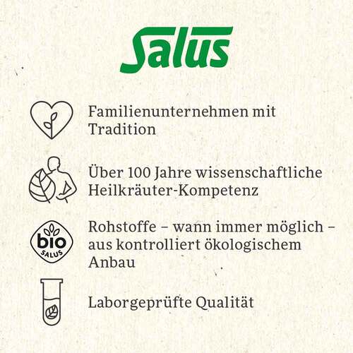 Winter-Wichtel Wintertee Bio Salus Filterbeutel - 6