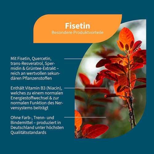 Fisetin + Quercetin + Spermidin + Vitamin B3 vegan Kapseln  - 2