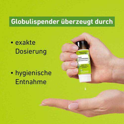 Rhus Toxicodendronicodendron D 6 Globuli Pfl&uuml;ger Globulisp. - 3